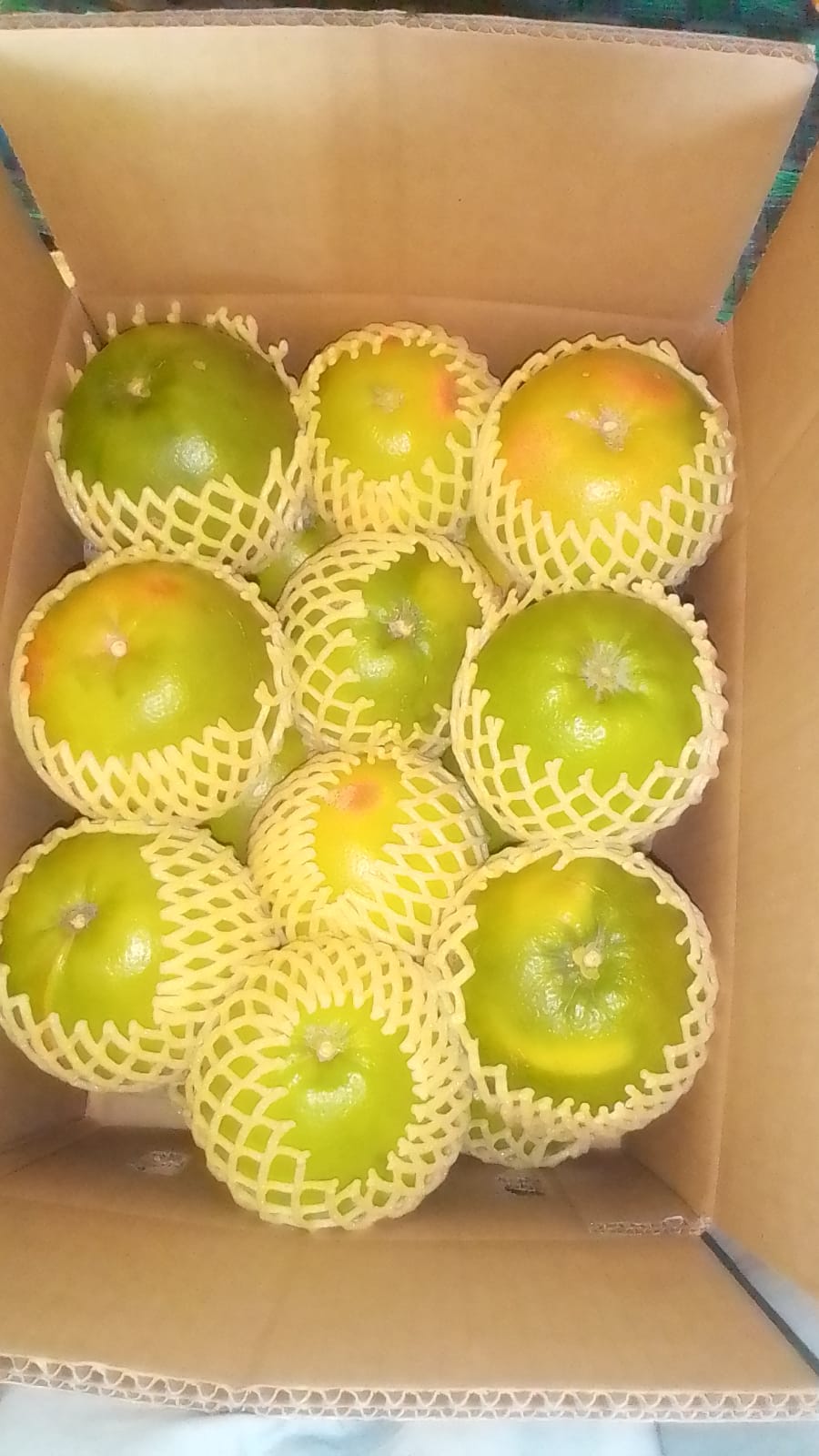 Organic Grapefruits | Star Ruby Red | Export Quality