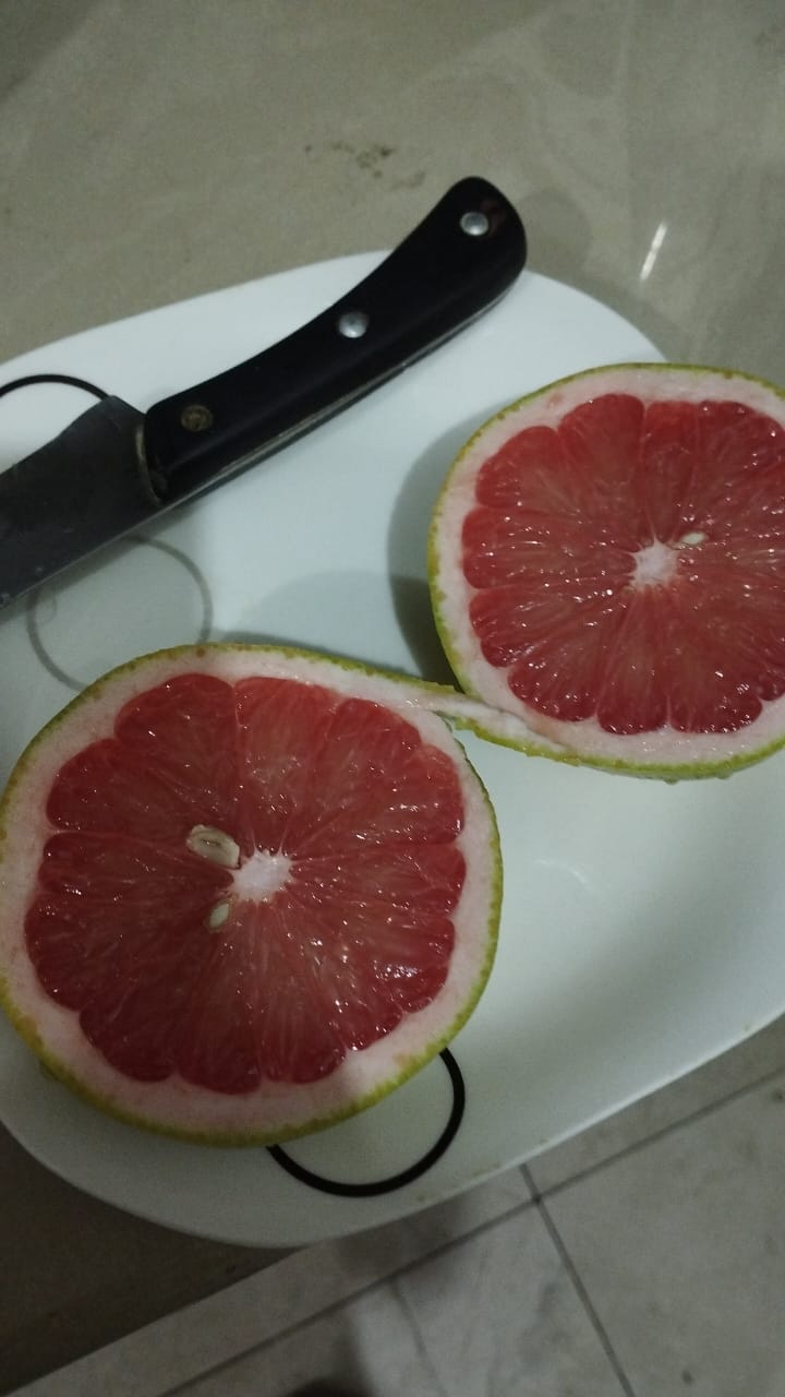 Organic Grapefruits | Star Ruby Red | Export Quality