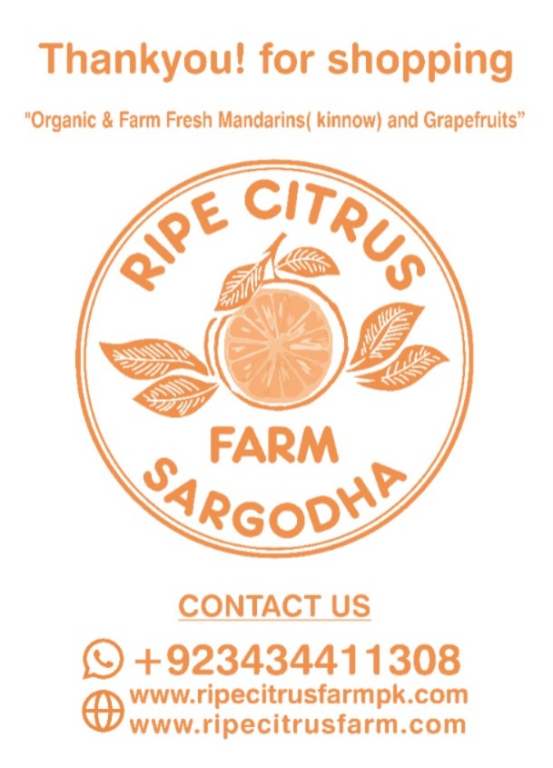 Kinnow (Mandarins)| Direct from Farm| Organic, Sweet & Juicy |